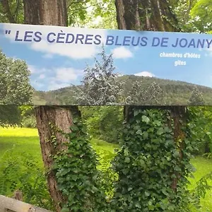  Maison d'hôtes Les Cèdres Bleus De Joany